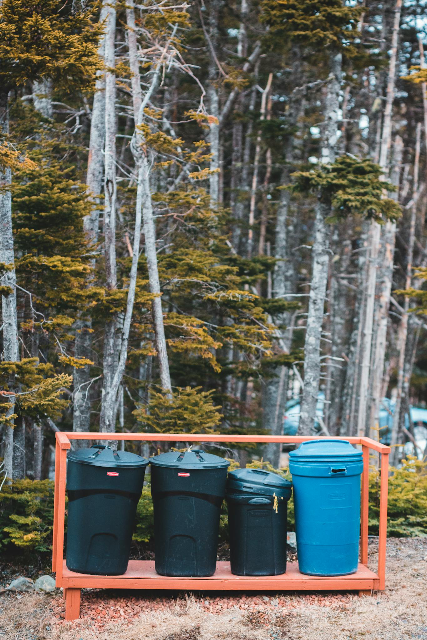 Four Recycling Bins In A Forest Promoting